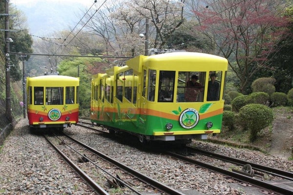 【勝田駅・水戸駅・友部駅発】臨時特急列車「常磐高尾号」で行く!秋の高尾山ぶらり旅2